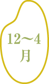 12~4月