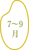 7~8月