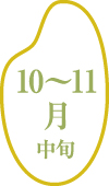 10~11月中旬